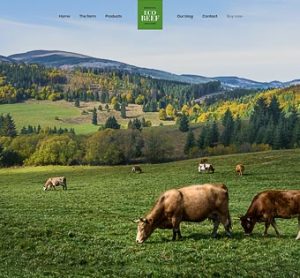 Be-Eco Beef